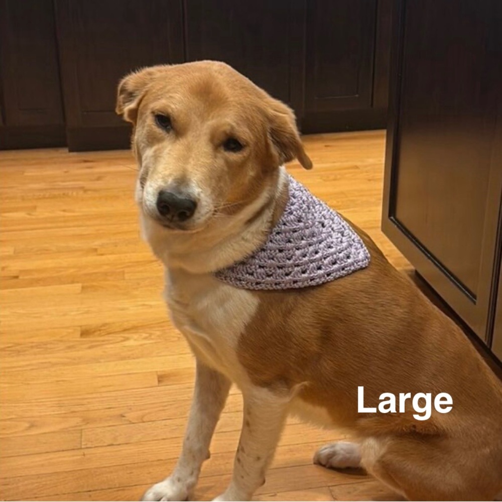 Crochet Pet Bandana Custom Order Listing - Picture 9 of 10